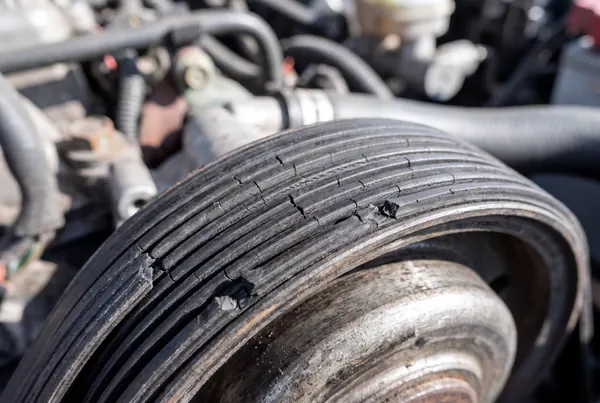 Close-up of the ribbed side of the serpentine belt, with cracks across the ribs and two small chunks missing.